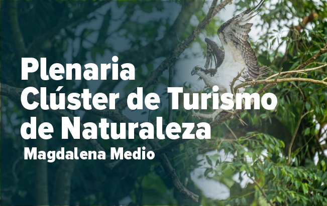 Plenaria del Clúster de Turismo de Naturaleza del Magdalena Medio