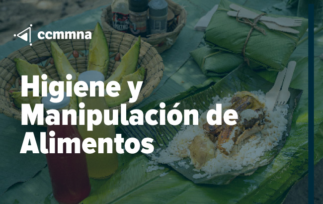 Higiene y manipulación de alimentos