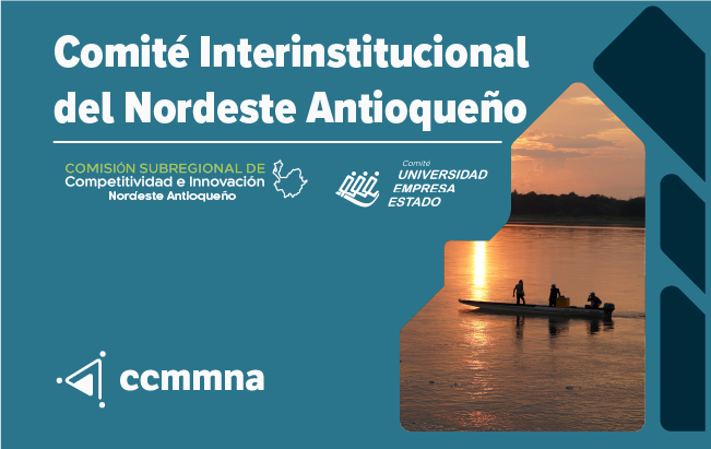 Comite Interinstitucional del Magdalena Medio