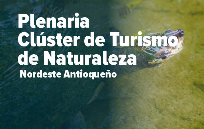 Cluster de turismo - Nordeste Antioqueño