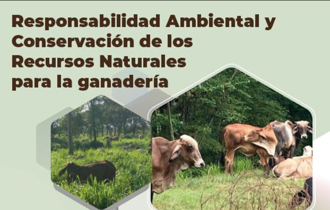 Responsabilidad ambiental y conservación de recursos naturales para la ganadería